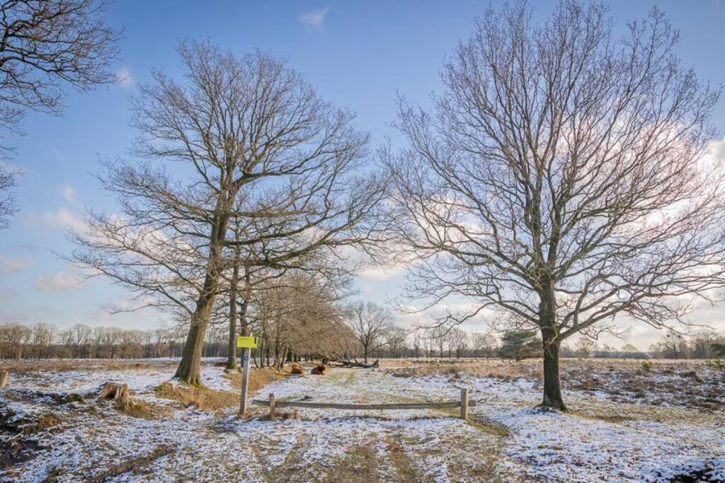 Leva - Logeren In Drenthe Villa Doldersum Bagian luar foto