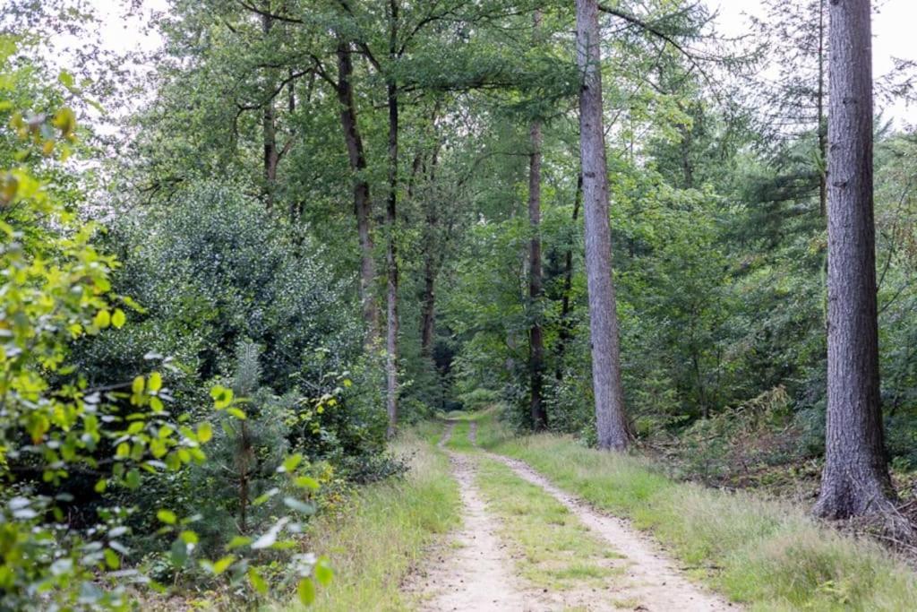 Leva - Logeren In Drenthe Villa Doldersum Bagian luar foto