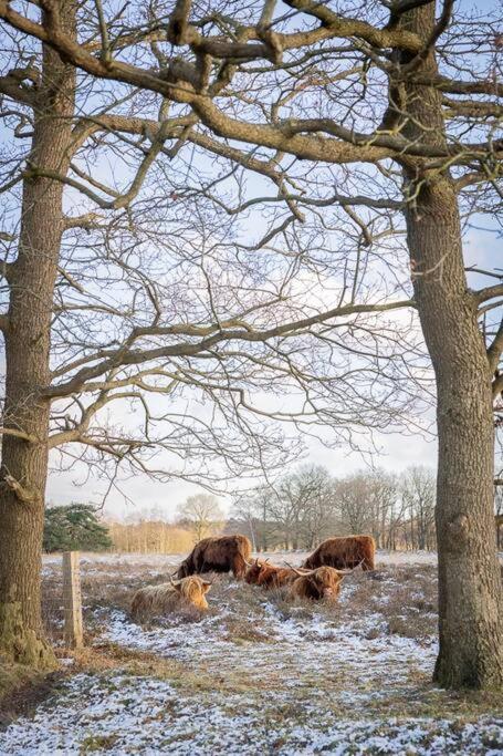 Leva - Logeren In Drenthe Villa Doldersum Bagian luar foto
