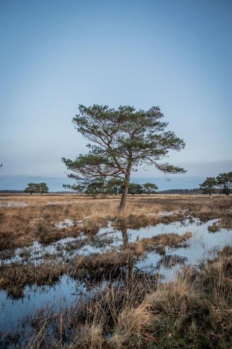 Leva - Logeren In Drenthe Villa Doldersum Bagian luar foto