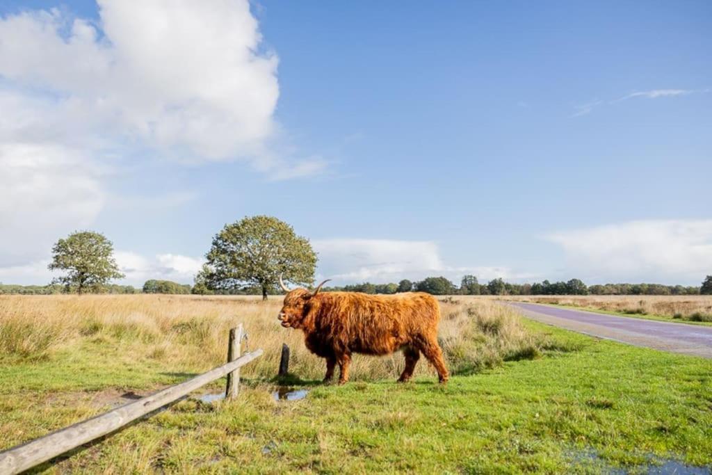 Leva - Logeren In Drenthe Villa Doldersum Bagian luar foto